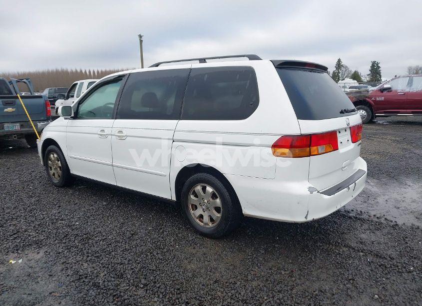 Photo 3 of 2002 Honda Odyssey EX-L (VIN 2HKRL18942H523437)