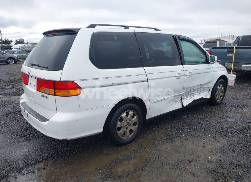 Photo 4 of 2002 Honda Odyssey EX-L (VIN 2HKRL18942H523437)