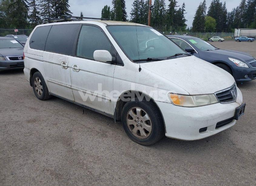 2002 Honda Odyssey EX-L (VIN 2HKRL18962H523441) main photo