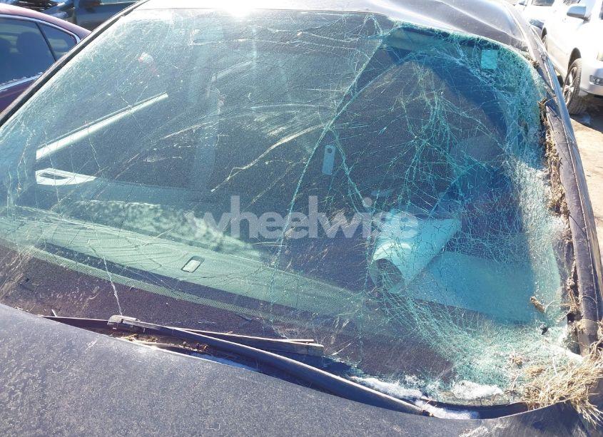 Photo 19 of 2016 Honda Cr-v LX (VIN 2HKRM3H30GH518778)