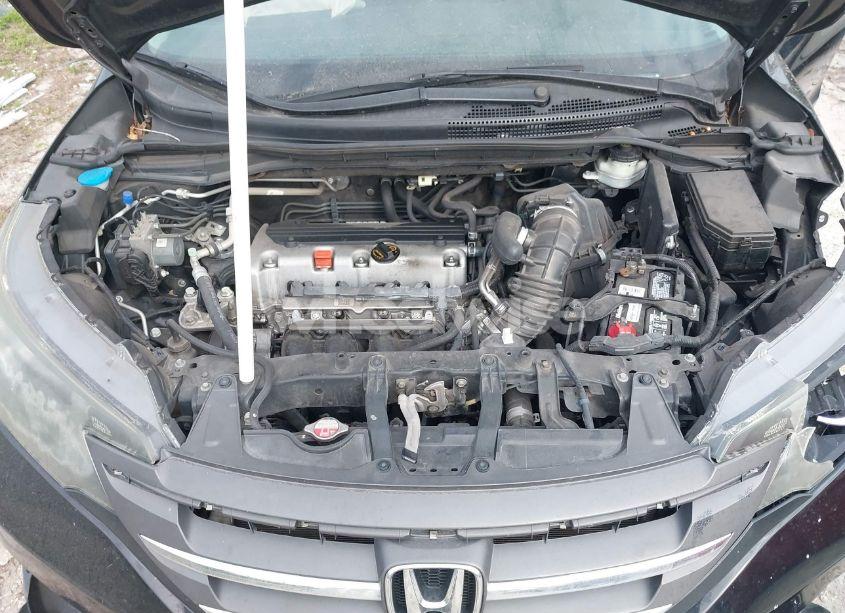 Photo 10 of 2014 Honda Cr-v LX (VIN 2HKRM3H31EH503493)