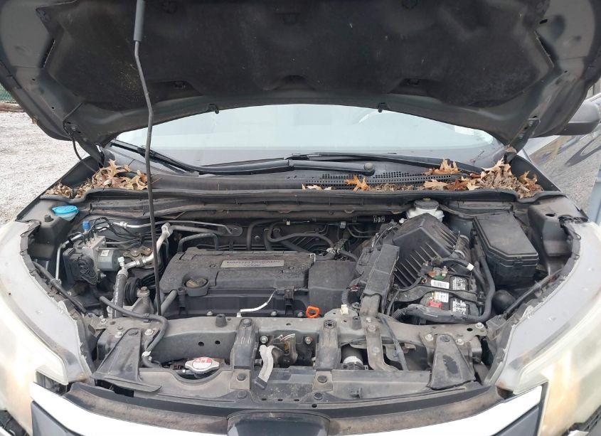 Photo 10 of 2015 Honda Cr-v LX (VIN 2HKRM3H32FH547083)