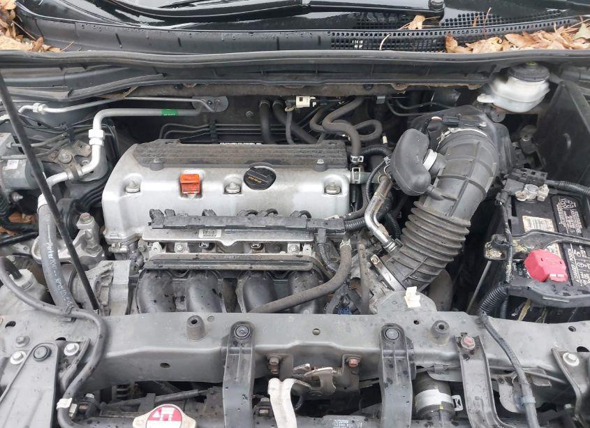 Photo 10 of 2014 Honda Cr-v LX (VIN 2HKRM3H39EH556684)