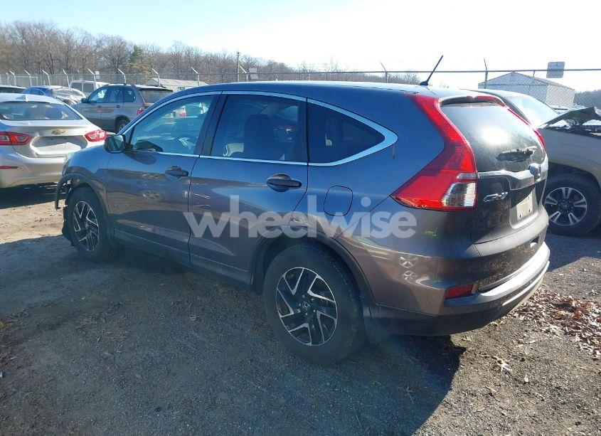 Photo 3 of 2016 Honda Cr-v SE (VIN 2HKRM3H44GH508229)