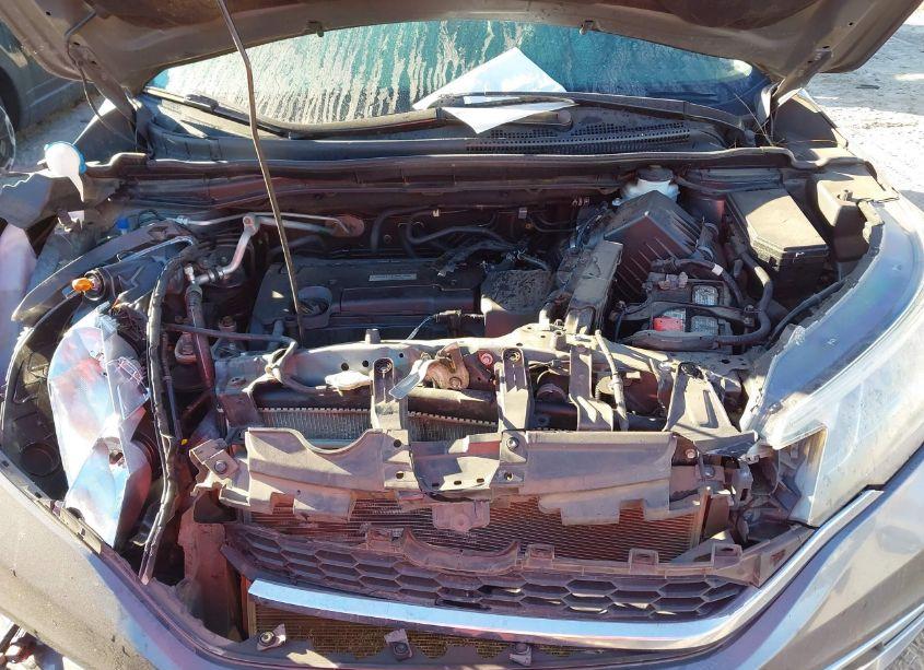 Photo 10 of 2016 Honda Cr-v EX (VIN 2HKRM3H51GH505605)