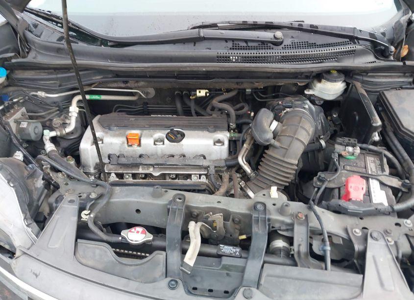 Photo 10 of 2014 Honda Cr-v EX-L (VIN 2HKRM3H72EH555198)