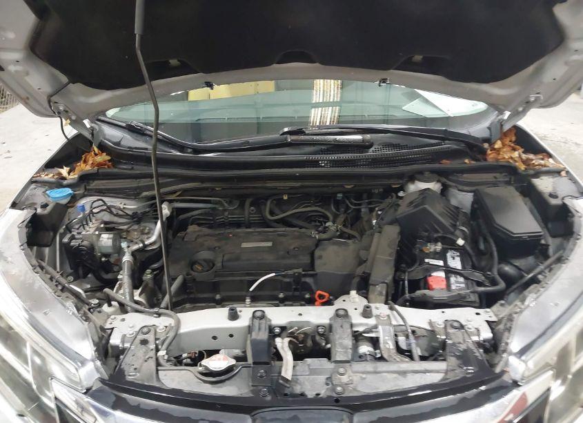 Photo 10 of 2016 Honda Cr-v LX (VIN 2HKRM4H31GH680330)