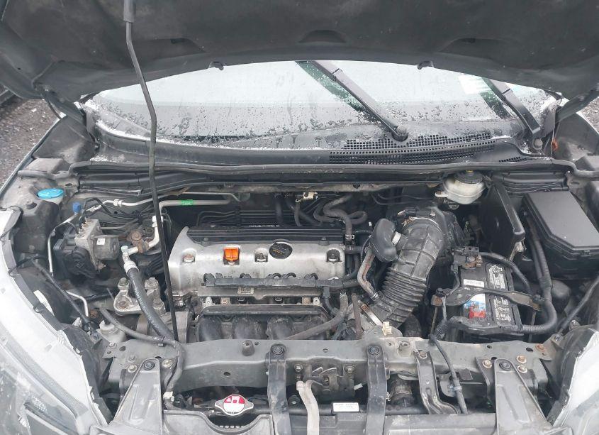 Photo 10 of 2014 Honda Cr-v LX (VIN 2HKRM4H33EH693366)