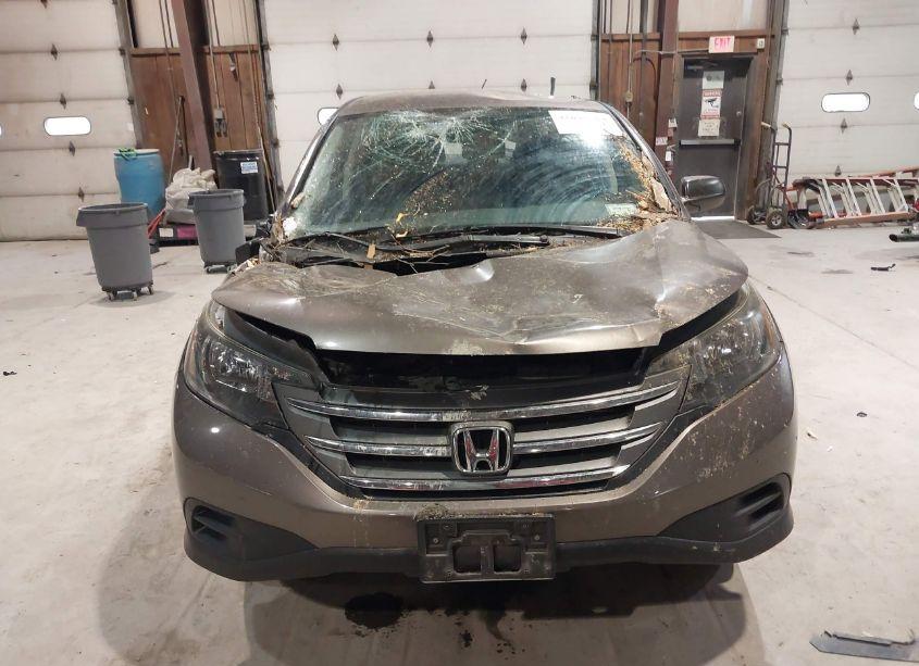 Photo 13 of 2014 Honda Cr-v LX (VIN 2HKRM4H3XEH689430)