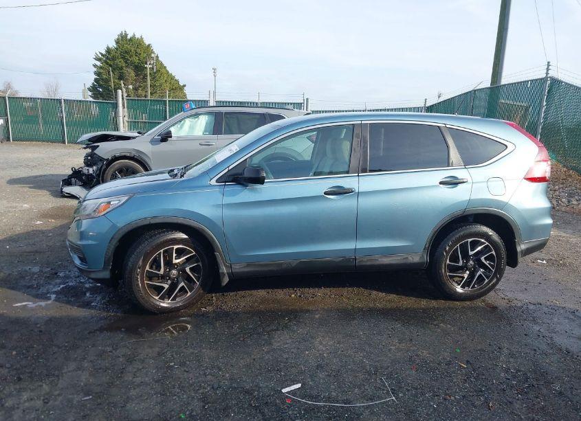 Photo 14 of 2016 Honda Cr-v SE (VIN 2HKRM4H48GH711534)