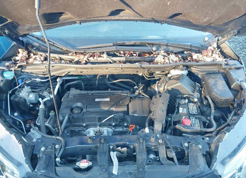 Photo 10 of 2016 Honda Cr-v SE (VIN 2HKRM4H4XGH698673)