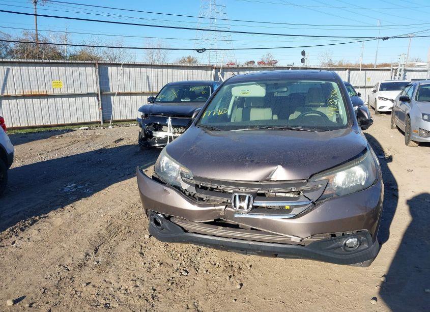 Photo 12 of 2014 Honda Cr-v EX (VIN 2HKRM4H59EH646702)