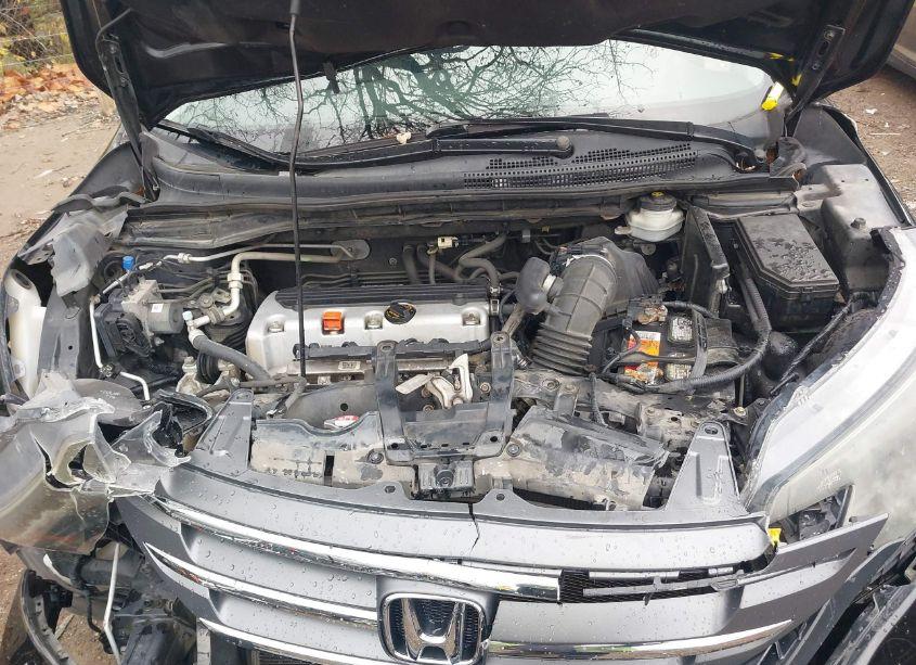 Photo 10 of 2014 Honda Cr-v EX-L (VIN 2HKRM4H75EH632605)