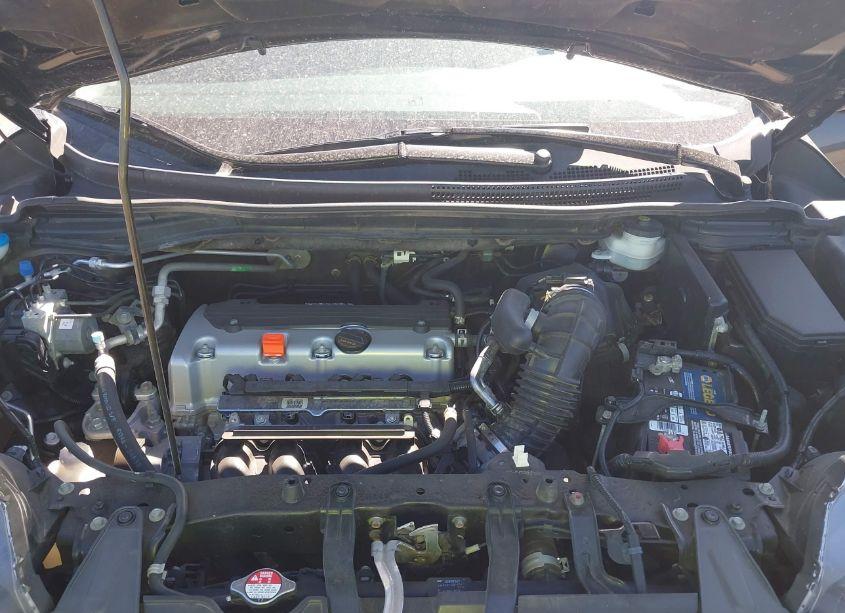 Photo 10 of 2014 Honda Cr-v EX-L (VIN 2HKRM4H75EH652739)