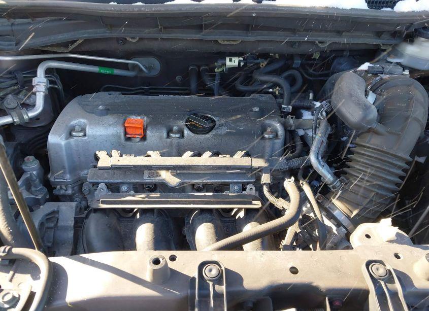 Photo 10 of 2014 Honda Cr-v EX-L (VIN 2HKRM4H75EH712387)