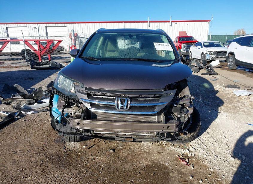Photo 13 of 2014 Honda Cr-v EX-L (VIN 2HKRM4H78EH659698)