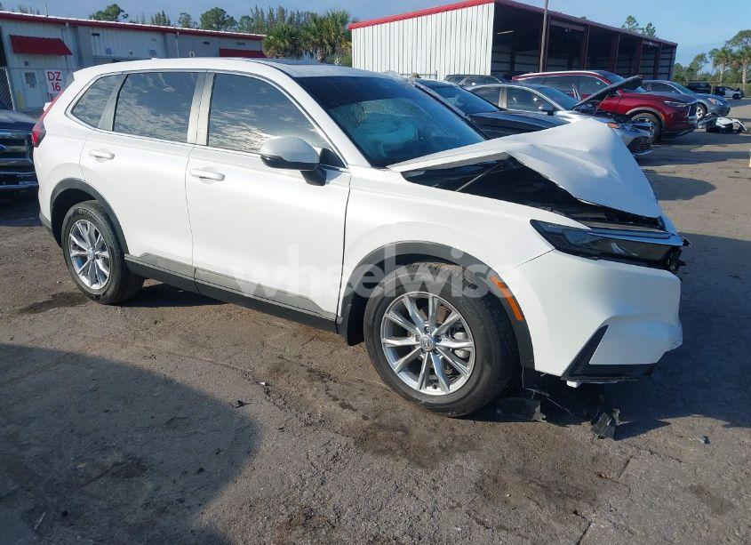 2024 Honda Cr-v EX 2WD (VIN 2HKRS3H43RH311688) main photo