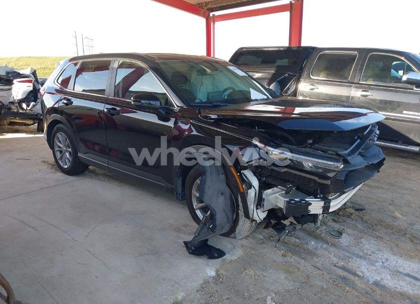 2024 Honda Cr-v EX 2WD (VIN 2HKRS3H45RH304712) main photo