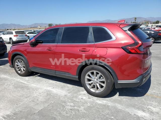 Photo 3 of 2025 HONDA CR-V EX (VIN 2HKRS3H45SH303677)