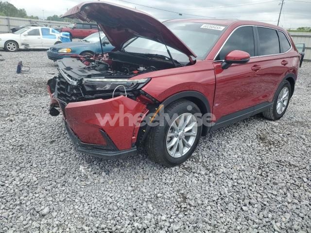 Photo 12 of 2025 HONDA CR-V EX (VIN 2HKRS3H46SH320102)