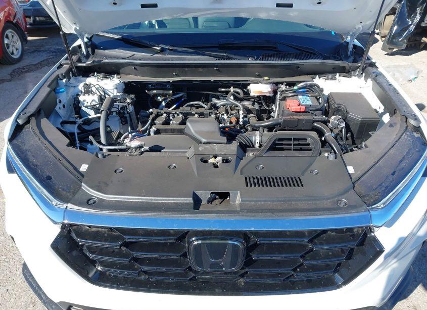 Photo 10 of 2025 Honda Cr-v EX-L 2WD (VIN 2HKRS3H72SH309172)