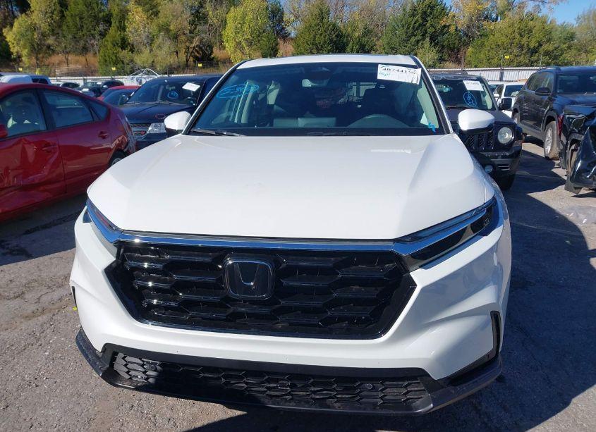 Photo 12 of 2025 Honda Cr-v EX-L 2WD (VIN 2HKRS3H72SH309172)