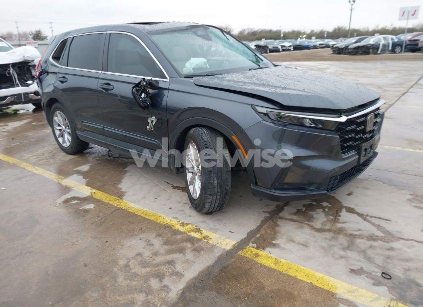 2024 Honda Cr-v EX-L 2WD (VIN 2HKRS3H73RH301544) main photo