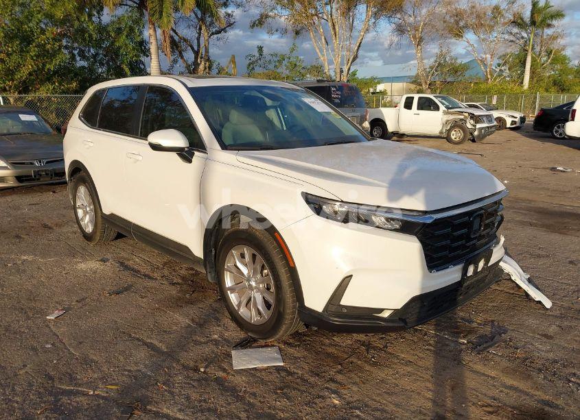 2024 Honda Cr-v EX-L 2WD (VIN 2HKRS3H75RH303201) main photo