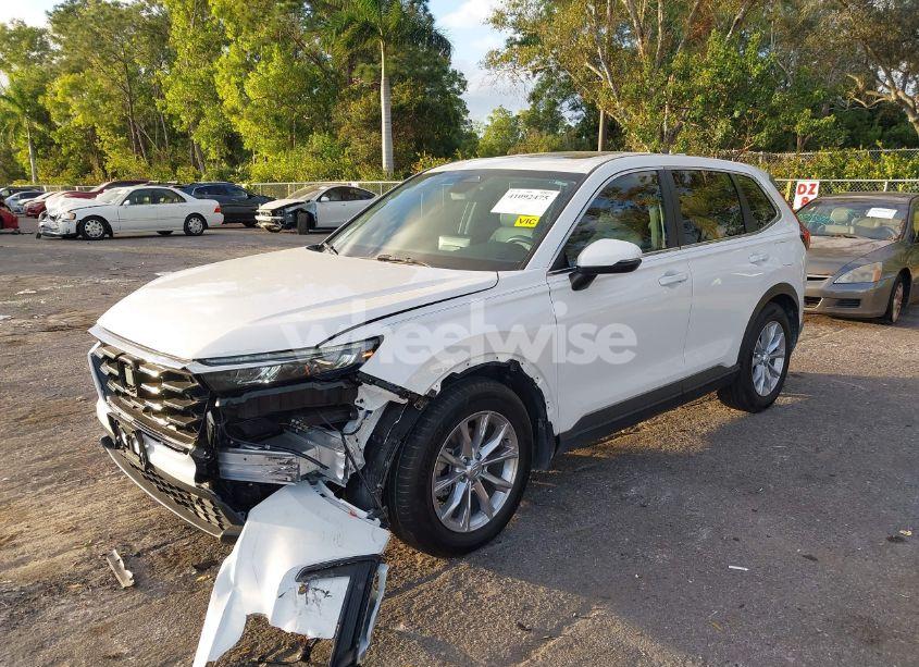 Photo 2 of 2024 Honda Cr-v EX-L 2WD (VIN 2HKRS3H75RH303201)