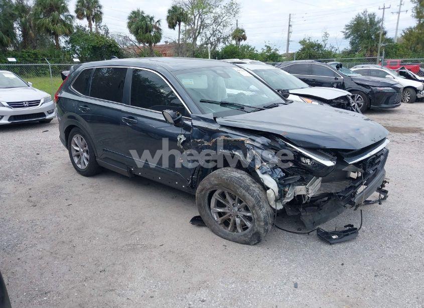 2024 Honda Cr-v EX-L 2WD (VIN 2HKRS3H76RH300811) main photo