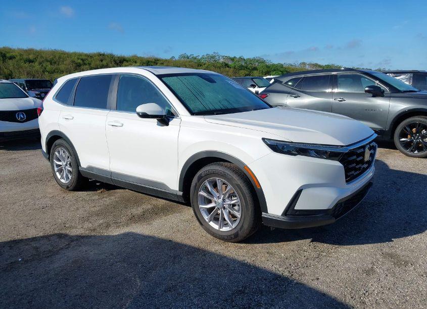 2024 Honda Cr-v EX-L 2WD (VIN 2HKRS3H76RH316958) main photo