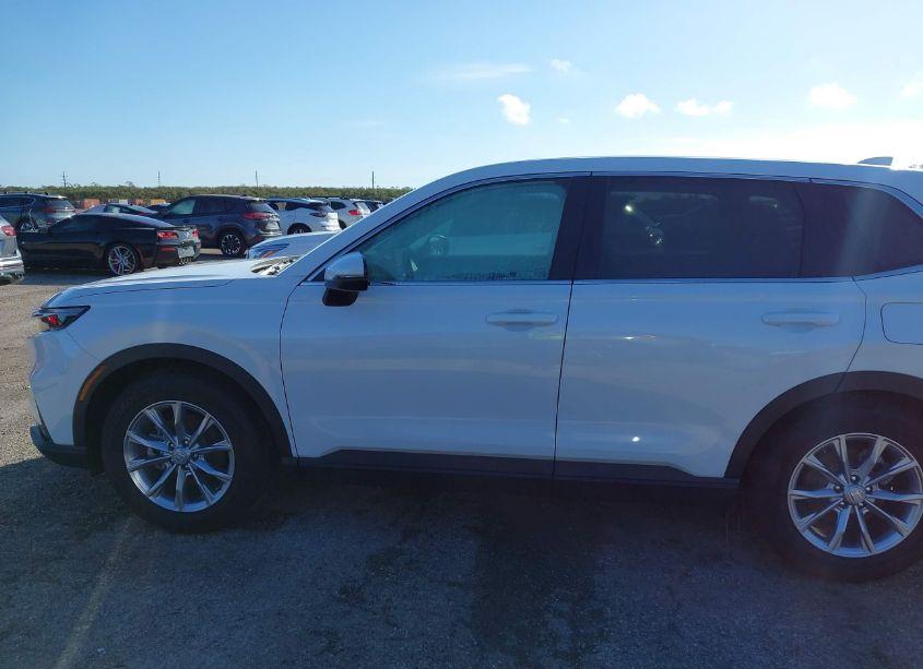 Photo 13 of 2024 Honda Cr-v EX-L 2WD (VIN 2HKRS3H76RH316958)