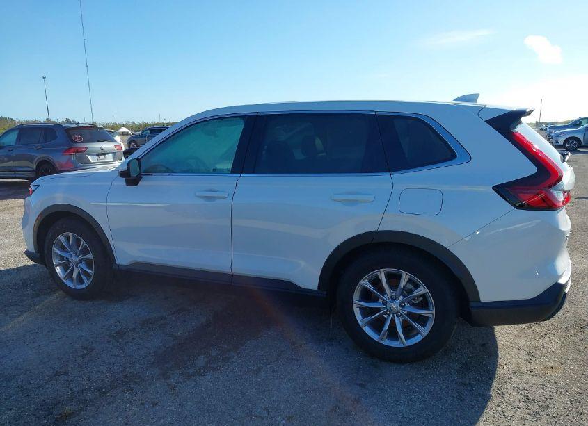 Photo 3 of 2024 Honda Cr-v EX-L 2WD (VIN 2HKRS3H76RH316958)