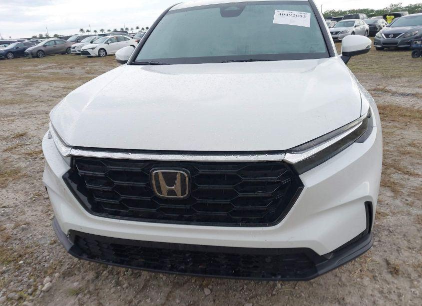 Photo 6 of 2024 Honda Cr-v EX-L 2WD (VIN 2HKRS3H76RH316958)