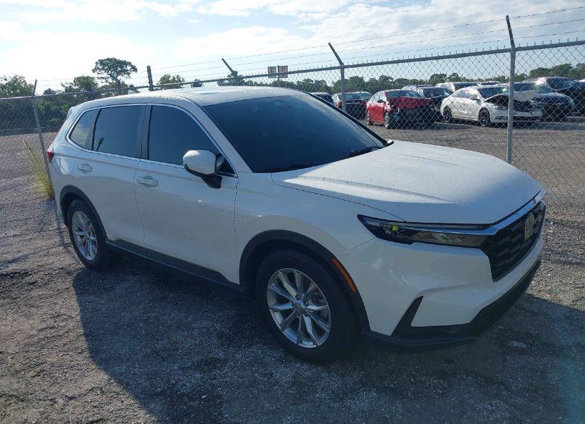 2024 Honda Cr-v EX-L 2WD (VIN 2HKRS3H79RH307235) main photo