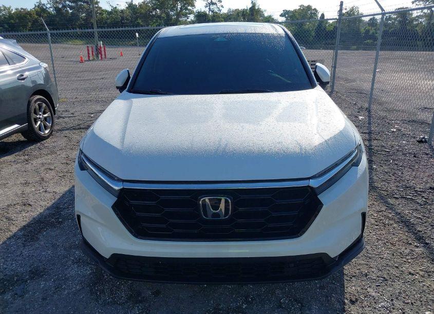 Photo 12 of 2024 Honda Cr-v EX-L 2WD (VIN 2HKRS3H79RH307235)