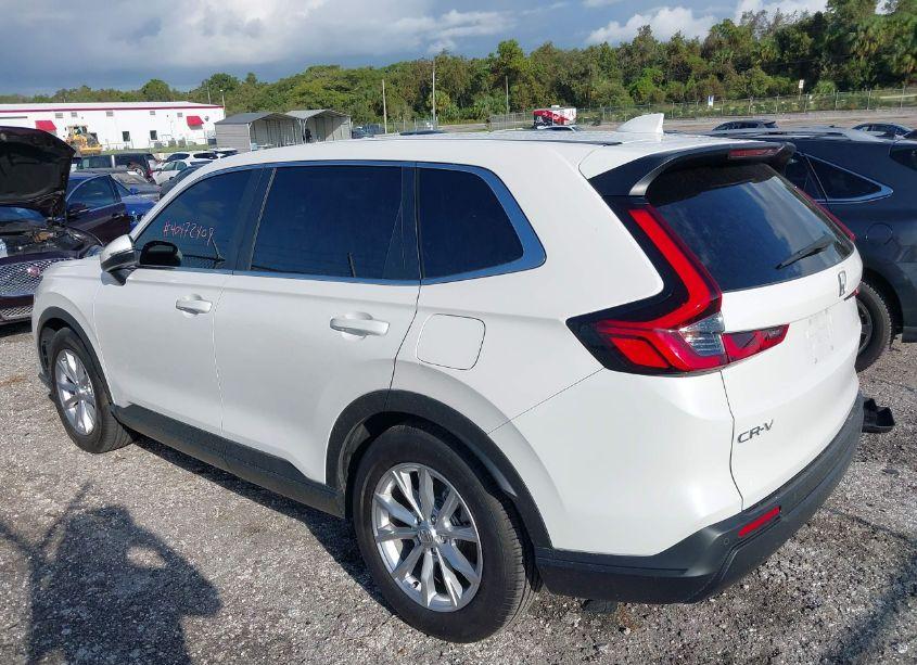 Photo 14 of 2024 Honda Cr-v EX-L 2WD (VIN 2HKRS3H79RH307235)