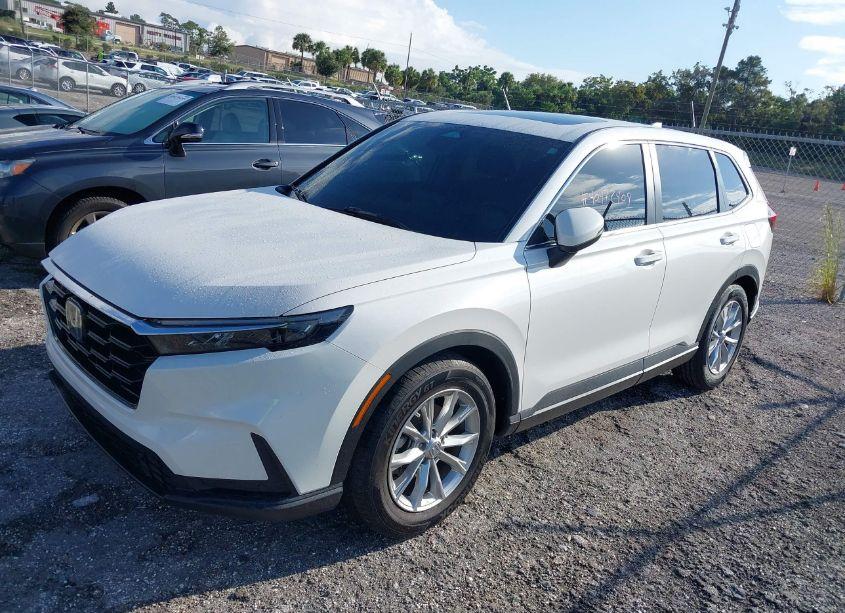 Photo 2 of 2024 Honda Cr-v EX-L 2WD (VIN 2HKRS3H79RH307235)