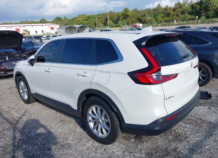 Photo 3 of 2024 Honda Cr-v EX-L 2WD (VIN 2HKRS3H79RH307235)