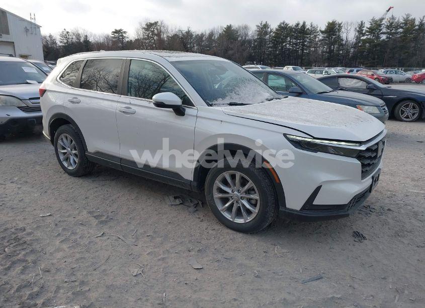 2024 Honda Cr-v EX AWD (VIN 2HKRS4H40RH446553) main photo