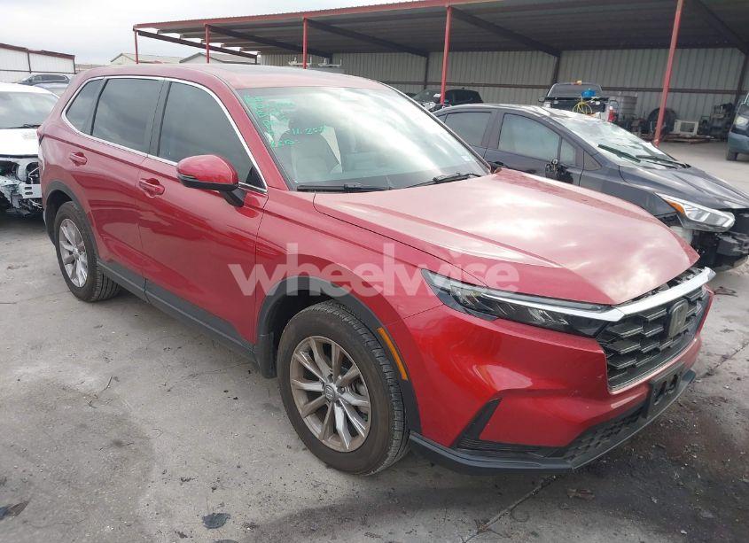2024 Honda Cr-v EX AWD (VIN 2HKRS4H41RH438235) main photo