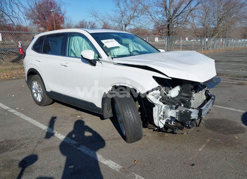 2024 Honda Cr-v EX AWD (VIN 2HKRS4H41RH451325) main photo