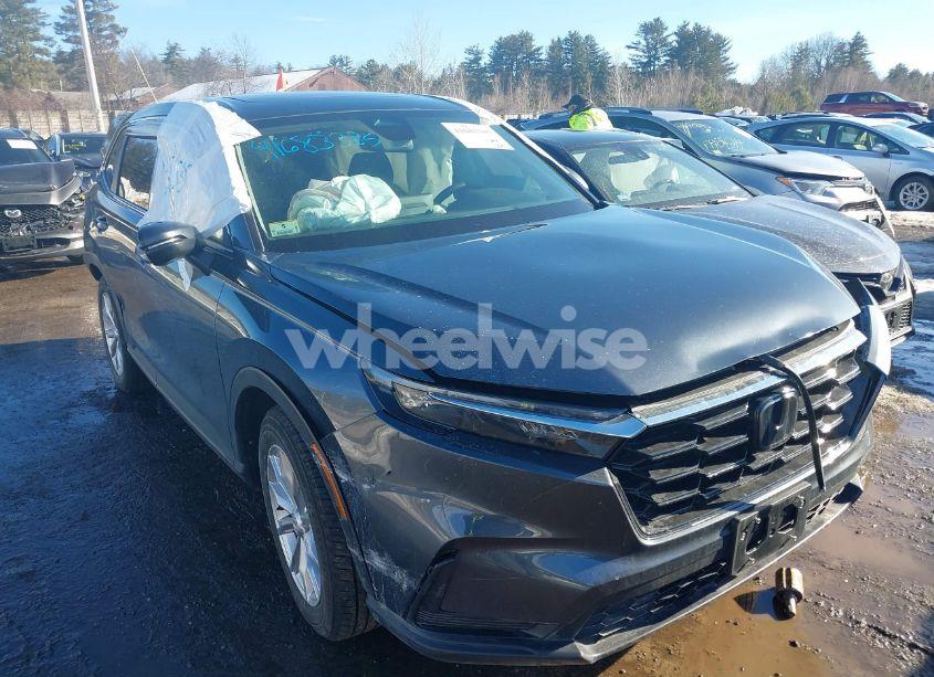 2024 Honda Cr-v EX AWD (VIN 2HKRS4H41RH479643) main photo