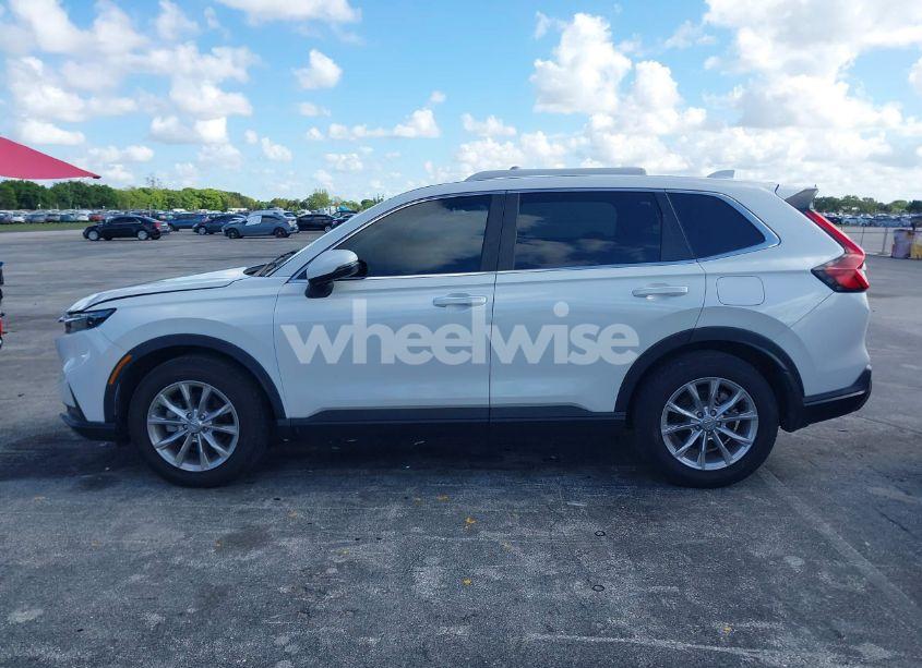 Photo 14 of 2024 Honda Cr-v EX AWD (VIN 2HKRS4H42RH481790)