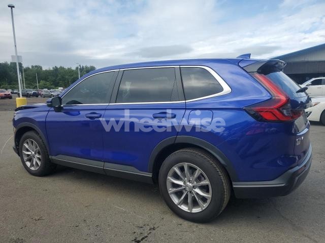 Photo 10 of 2025 HONDA CR-V EX (VIN 2HKRS4H42SH410871)