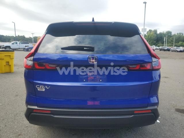 Photo 13 of 2025 HONDA CR-V EX (VIN 2HKRS4H42SH410871)