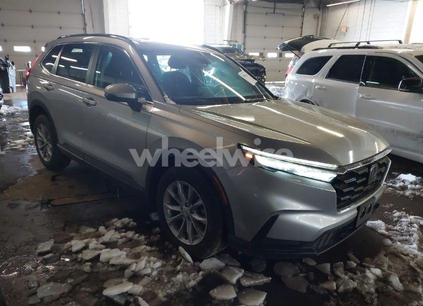 2024 Honda Cr-v EX AWD (VIN 2HKRS4H44RH461217) main photo