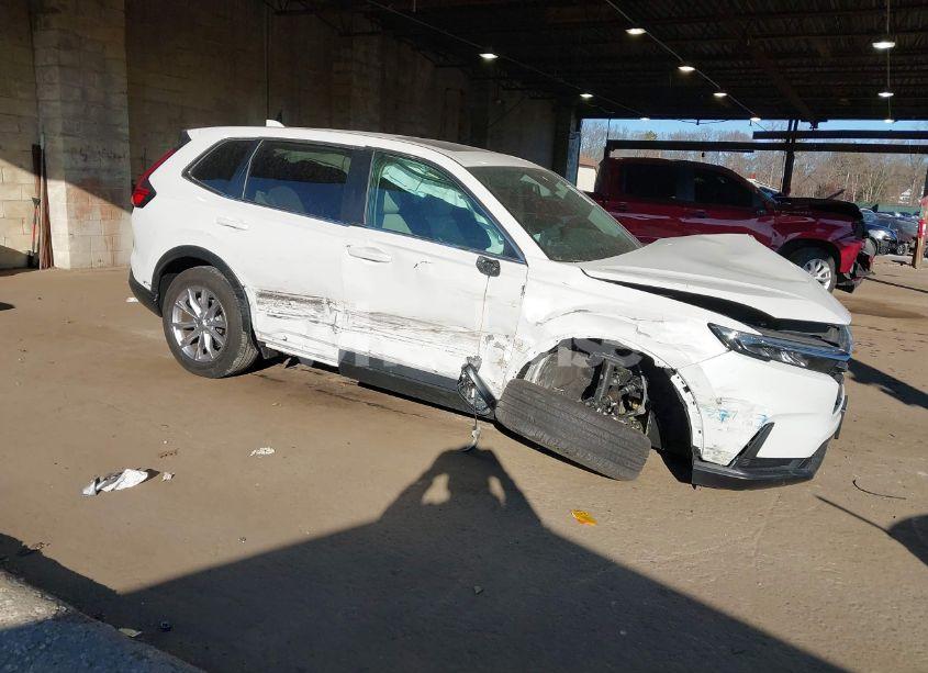 2024 Honda Cr-v EX AWD (VIN 2HKRS4H46RH429109) main photo