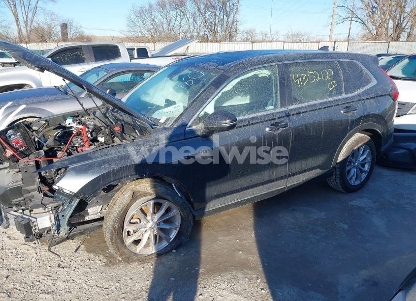 Photo 2 of 2024 Honda Cr-v EX AWD (VIN 2HKRS4H46RH431460)