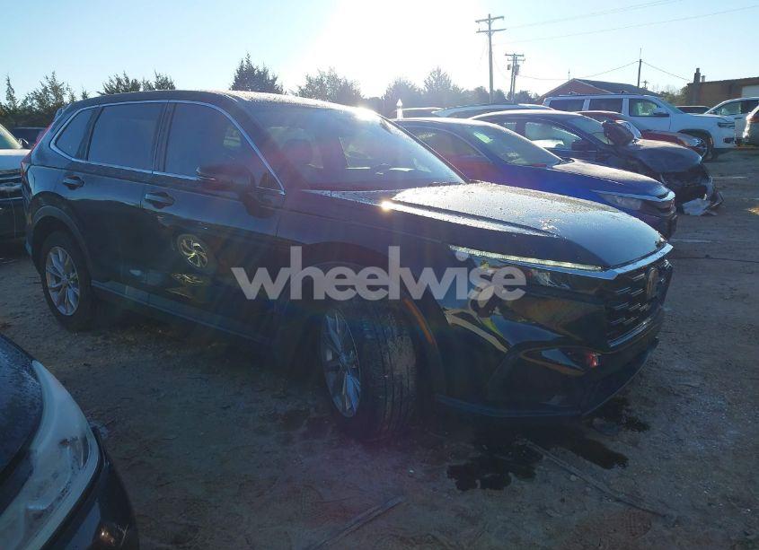 2024 Honda Cr-v EX AWD (VIN 2HKRS4H48RH454531) main photo